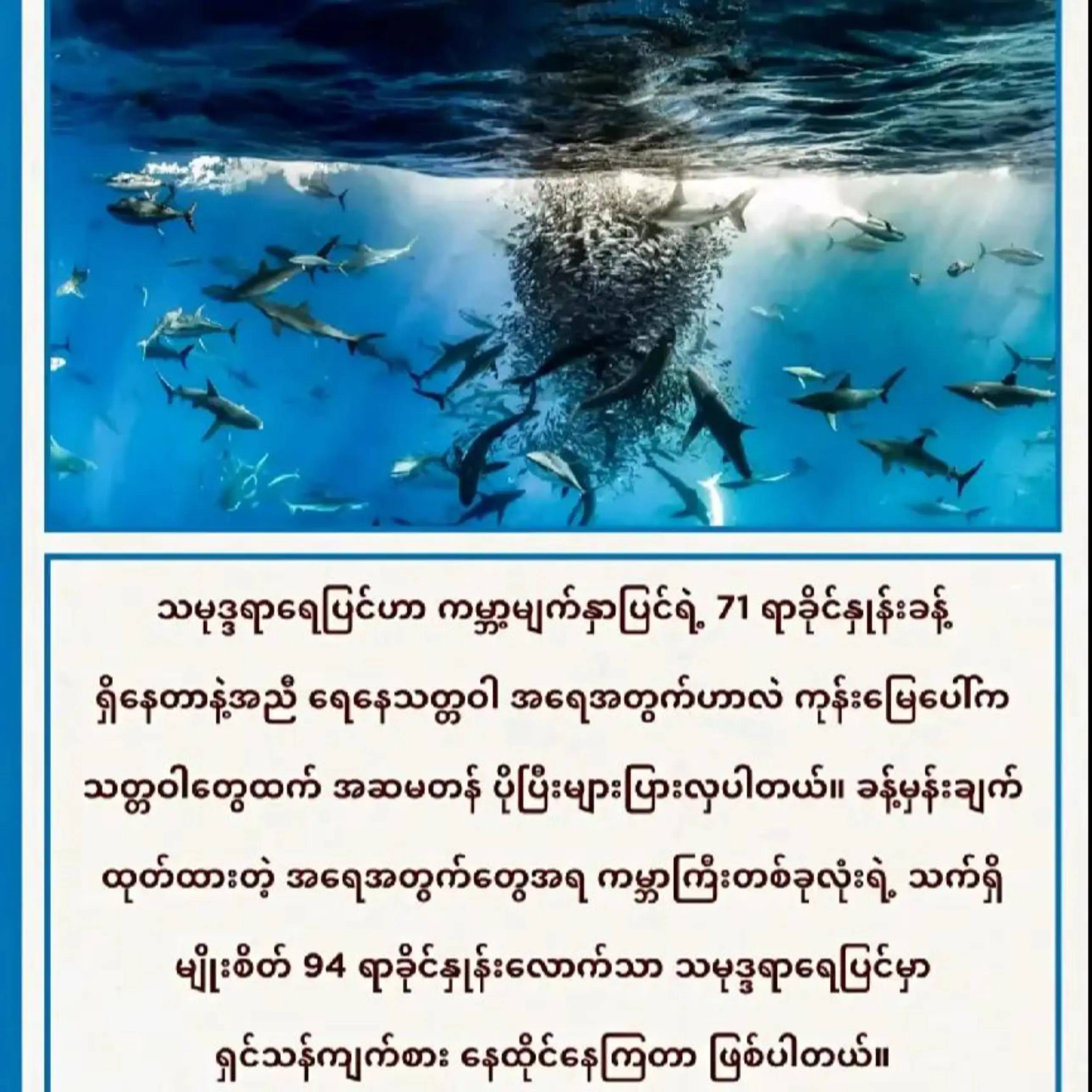 #onthisday #fyppppppppppppppppppppppp #creatorsearchinsights #myanmartiktok🇲🇲�