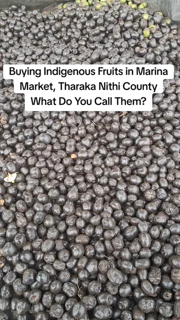 Why Aren't We Selling More Indigenous Fruits Like Chocolate Berry? Walk through 