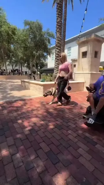 What you mean by service Dog 🐕‍🦺🐕🐕  #dogpark #dogtrainer #servicedog #viral 