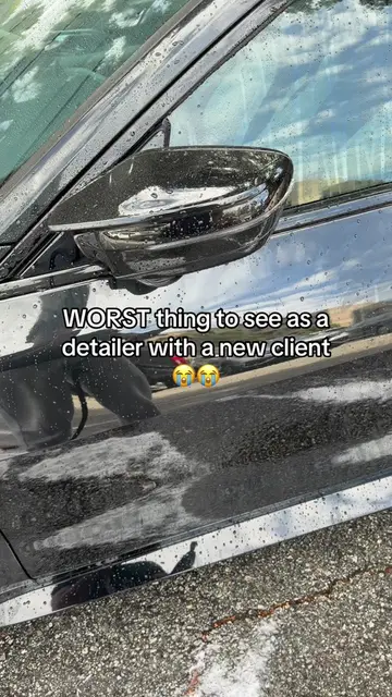 Like WHO cooked here??? #detailing #cardetailing #detailersoftiktok 