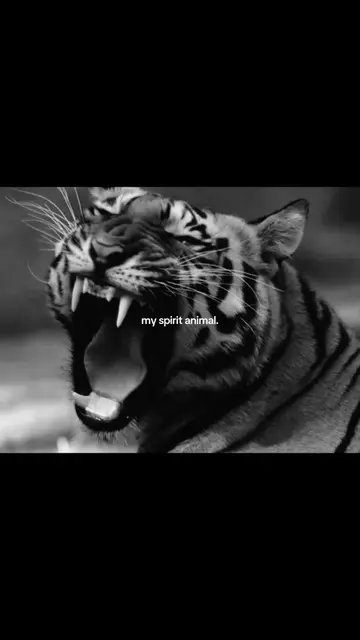 Parte 9 | #tiger #myspiritanimal #wylos_ #fyp #spiritanimal 