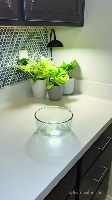 One of the biggest watering mistakes isn’t giving your plant too much water… it’