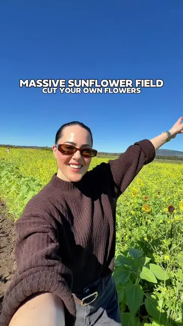 [ THINGS TO DO ] THIS SCENIC RIM FLOWER FARM LETS YOU CUT YOUR OWN SUNFLOWERS TO