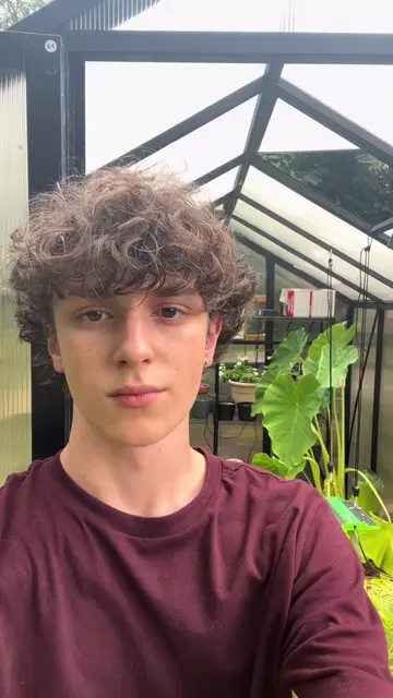 Greenhouse update! #creatorsearchinsights #gardenandcolor #gardening #plants #ga