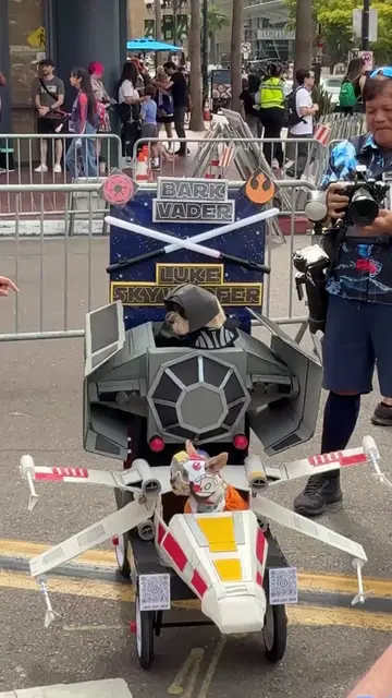 Best Comic-Con pet cosplay #StarWars #Dogs #SDCC