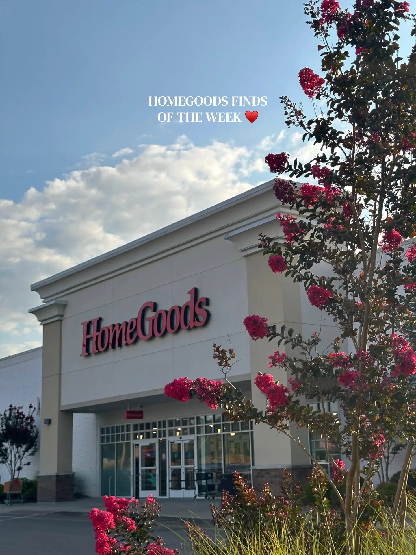 I can never find anything @HomeGoods said me NEVER.. trying to not cave and buy 