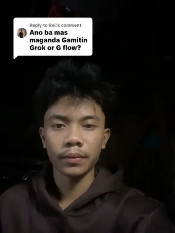 Replying to @Rei. Ano ba nga ba mas maganda grok or flow ? #fbautomation #person