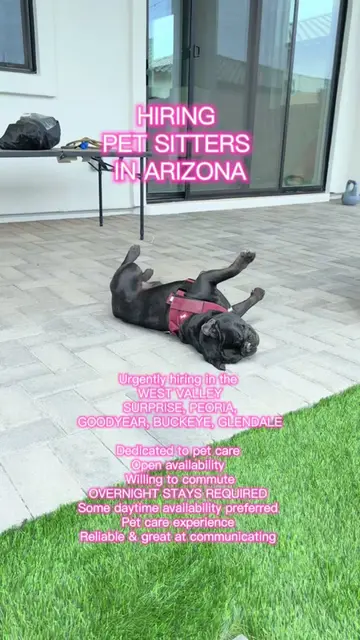 We’re looking for a few more pet sitters in the WEST VALLEY! In the areas of Sur