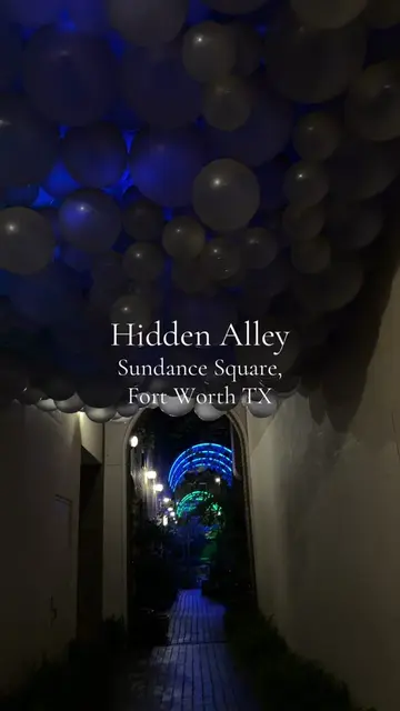 Bar hopping led us to this hidden gem #dfw #thingstodo #fyp 