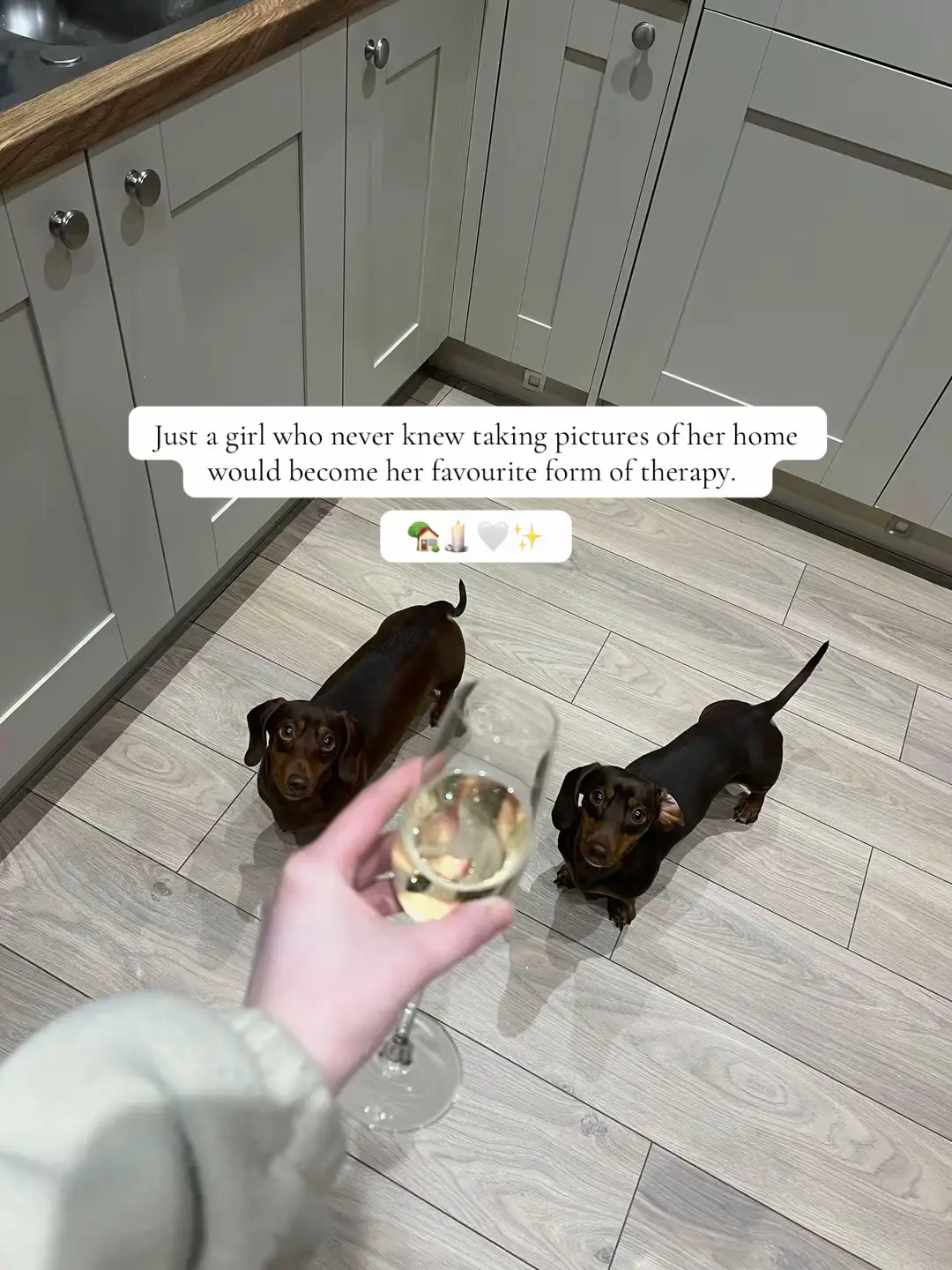 #Home #healing #dachshund #homeinterior 