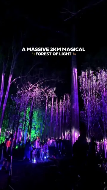 [ EVENT ] A MASSIVE 2KM ENCHANTED LIGHT FOREST HAS TAKEN OVER A BRISBANE WINERY 