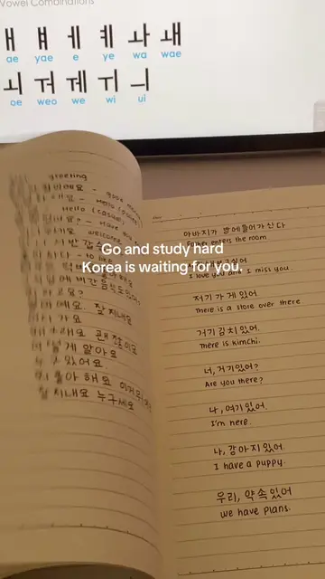 Study korean for your dreams🇰🇷🫶🏻 #LanguageLearning #learnkorean #studykorean