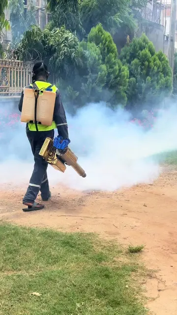 WE DESTROY MOSQUITO BEDS IN YIUR GREEN AREAS AND GARDENS . Call us now !