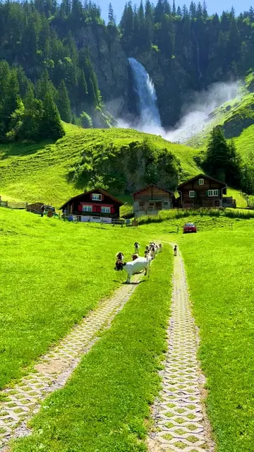 SWITZERLAND in summer🇨🇭☀️ #switzerland #swissbeautiful #tiktoktravel #travel #