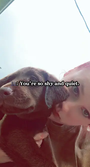 Just a little awkward is all😅 #dogmom #labrador #puppylife #dogsoftiktok #autis