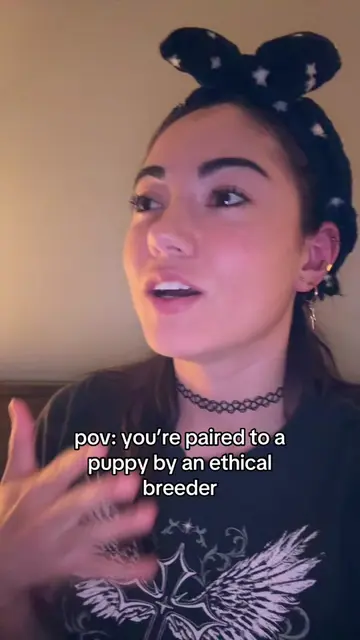 Ethical breeders can not guarantee a perfect match, they can only guarantee that