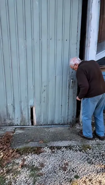 What do you think will be his reaction? #tiktokgrowthchallenge #cardetailing #ca