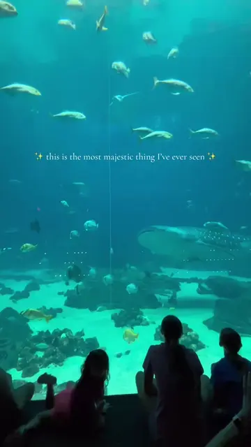 this is your sign to buy those tickets and visit the @Georgia Aquarium  it was m