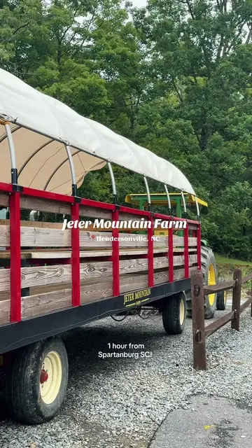 Jeter Mountain Farm is one of my favorite places to visit 😍 they have peach, bl