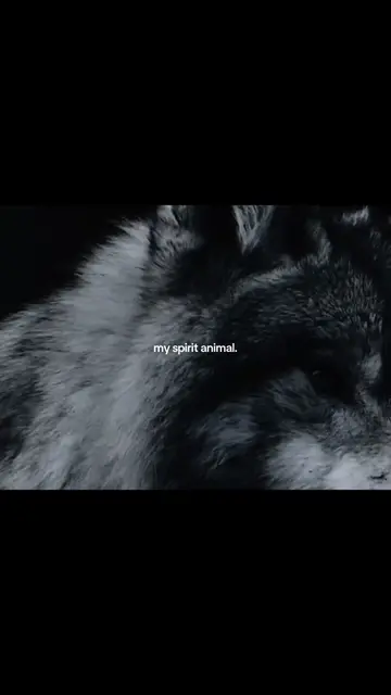 Parte 14 | #wolf #myspiritanimal #wylos_ #foryoupage #spiritanimal 