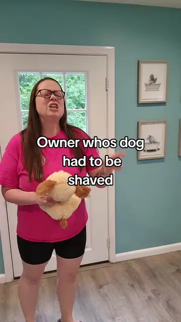 its ok, your dog told me thank you  #doggroomerlife #doggroomersoftiktok #doggro