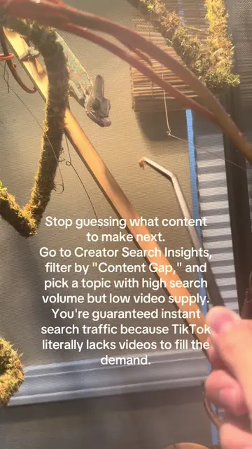 Stop guessing what content to make next. Go to Creator Search Insights, filter b
