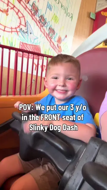 I think we created a core memory 🥹🐶💚 Would your toddler ride this in the fron