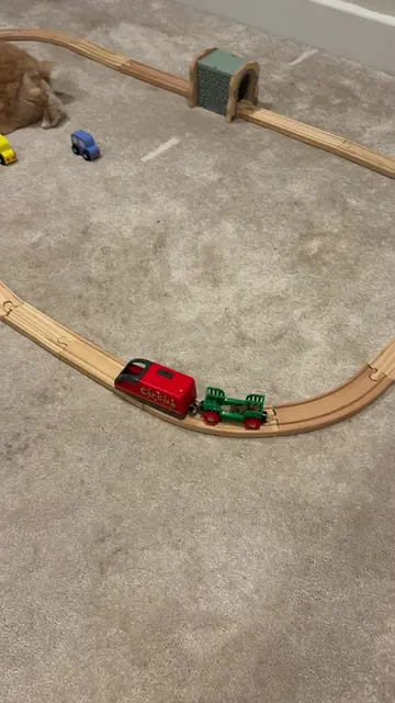 Part 2 of Honey vs toddlers train set featuring the snack train 😂 #bunniesoftik