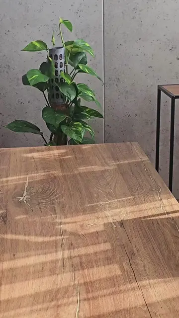 POV: You got tired of moss poles that keep leaning... so you designed your own. 