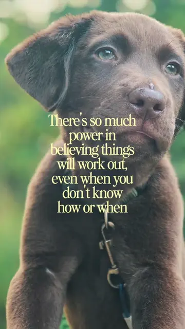 Grit, determination, and the belief that you can navigate through any obstacle..