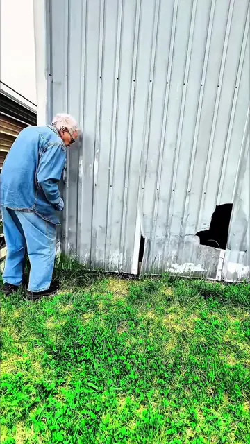 What do you think will be his reaction? #tiktokgrowthchallenge #cardetailing #ca