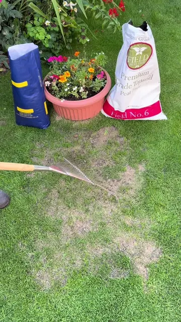 Steps To Repair Summer Lawn Patch Please do watch and listen along 👍  I’ve got 