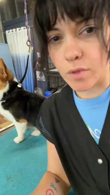 We have to do better…💗 #doggrooming #doggroomersoftiktok #fypシ #fyp 