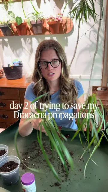 I think this calls for a little planty experiment. Let me know what you think an