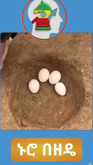 Want to hatch chicken eggs at home without spending a fortune on expensive incub