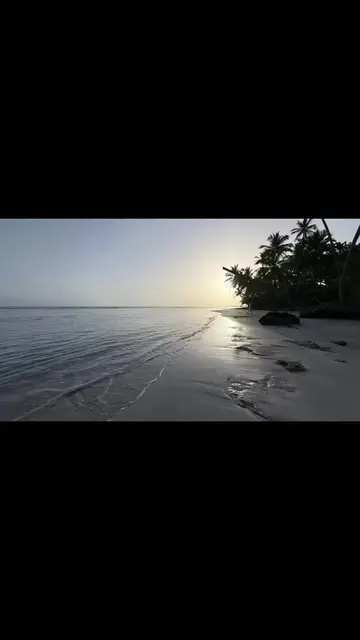 Amanece igual para todos. Lo que cambia es quién decide caminar. 🌅.            