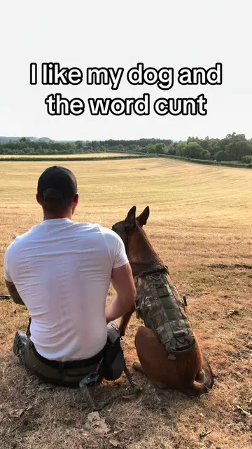 #belgianmalinois #dogsoftikok #k9softiktok #workingdog #militarydog 