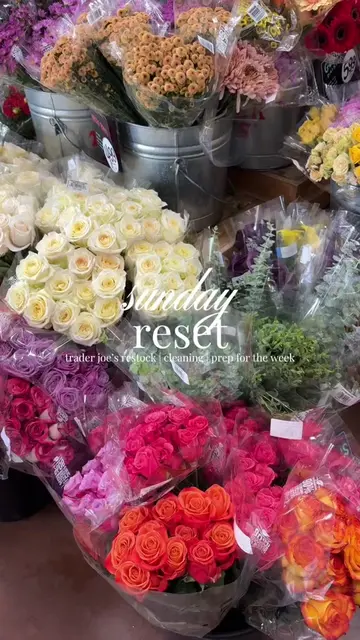 it’s a sunday, you know what time it is! it’s time for another sunday reset 🫧 t