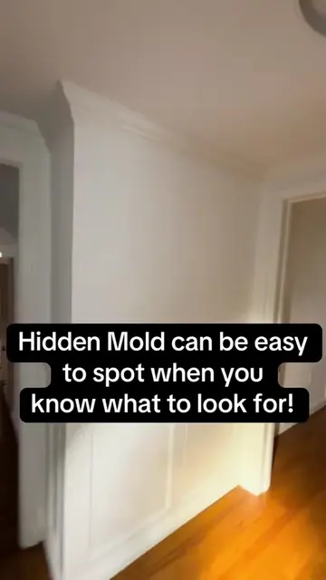 Hidden mold can be easier to find than you think sometimes. Always look for ceil