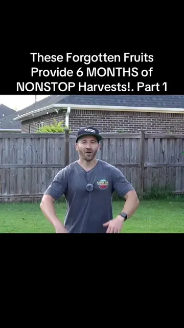These Forgotten Fruits Provide 6 MONTHS of NONSTOP Harvests!. Part 1 #gardening 