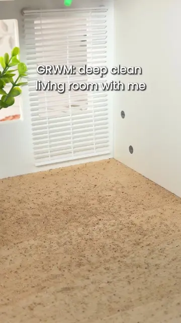 POV: You finally stopped procrastinating the living room clean. 🧹 GRWM for a fu
