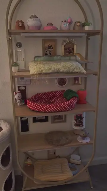 Catapawments Dream House ✨🏡🐾 #catsoftiktok #catapawments #catmom #cutecats #ca