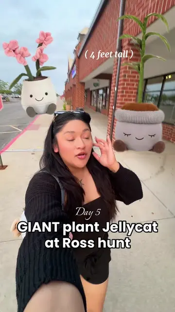 I found so many cute Jellycats I need the big one 😍 #rossfinds #jellycat #fypシ゚