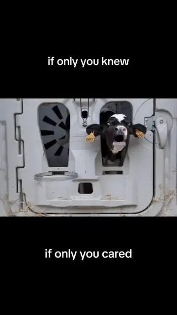 they are us we are them- the only difference is perception. #animalsofttiktok #c