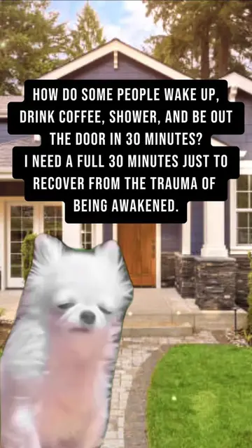 #fypシ゚viral #workstruggles #mylife #WTF #funny 