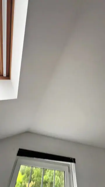 the ultimate window setup                                                       