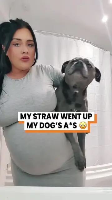 My dog has the shock of his life...😭 @itslauranewman #funnydogs #funnydogvideos