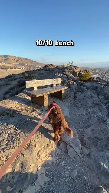 10/10 bench view at Lone Mountain in Las Vegas, NV #views #lonemountain #lasvega