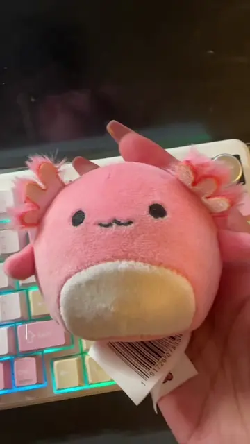 Found at Target! #squishyfinds #squishmallow #mallowmees #squishtest 
