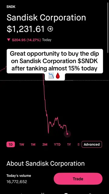 Who else is buying the dip on Sandisk Corporation $SNDK #daytrader #optionstrade